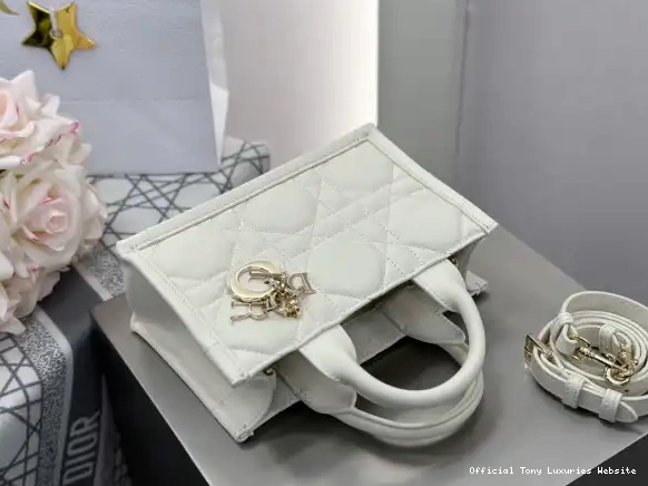 Tony Luxuries TOTE-21.5*13*7.5CM BOOK MINI diro 0501